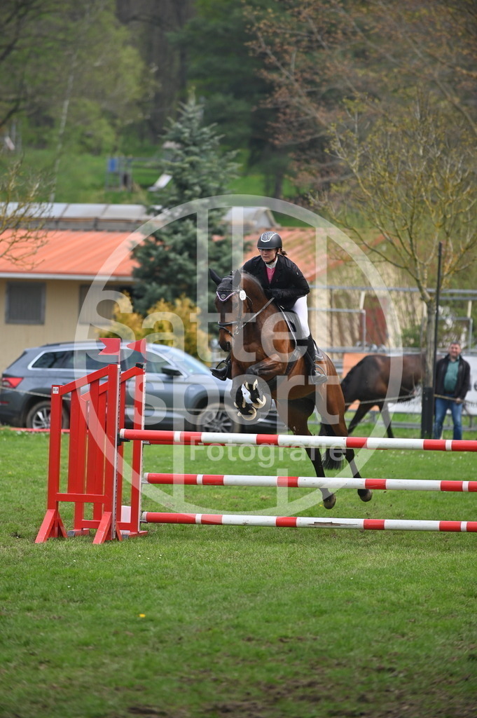 DSC_1621 | sattelsport - Realisiert mit Pictrs.com