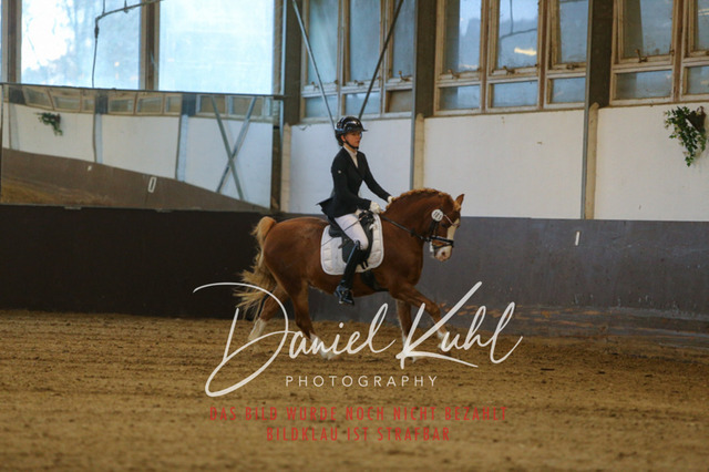 IMG_7852 | Turniersportfotografie; Pferdefotografie; Dressurfotografie