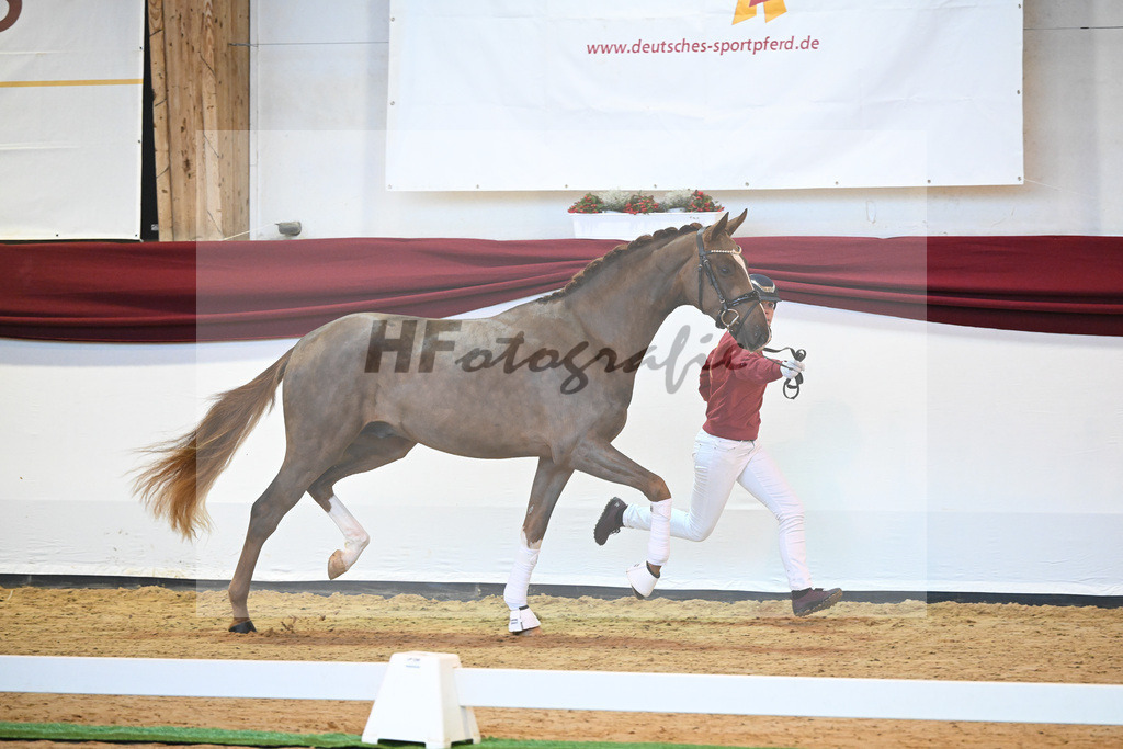 Kat-Nr. 4 v. Benicio_Galneder_66220003 | hf-fotografie - Realisiert mit Pictrs.com