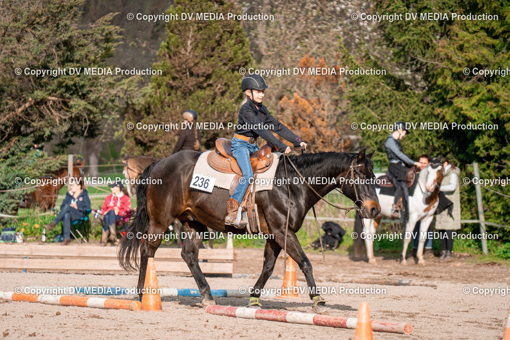 BAL02905 | dv-media-shop - Realisiert mit Pictrs.com