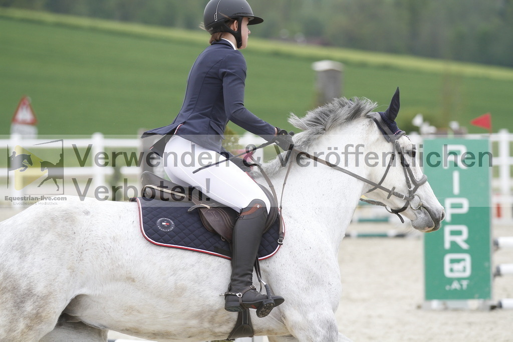 _MG_3669 | equestrian-live-com
