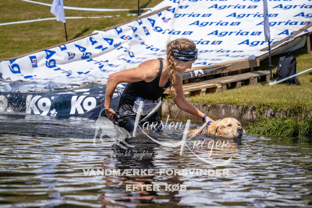 _ZZ976971030 | kk-dogfotos