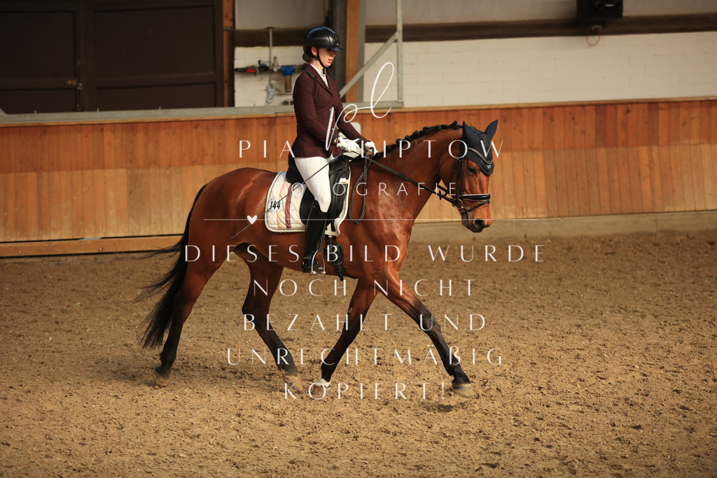 IMGT4665 | pl-fotografie