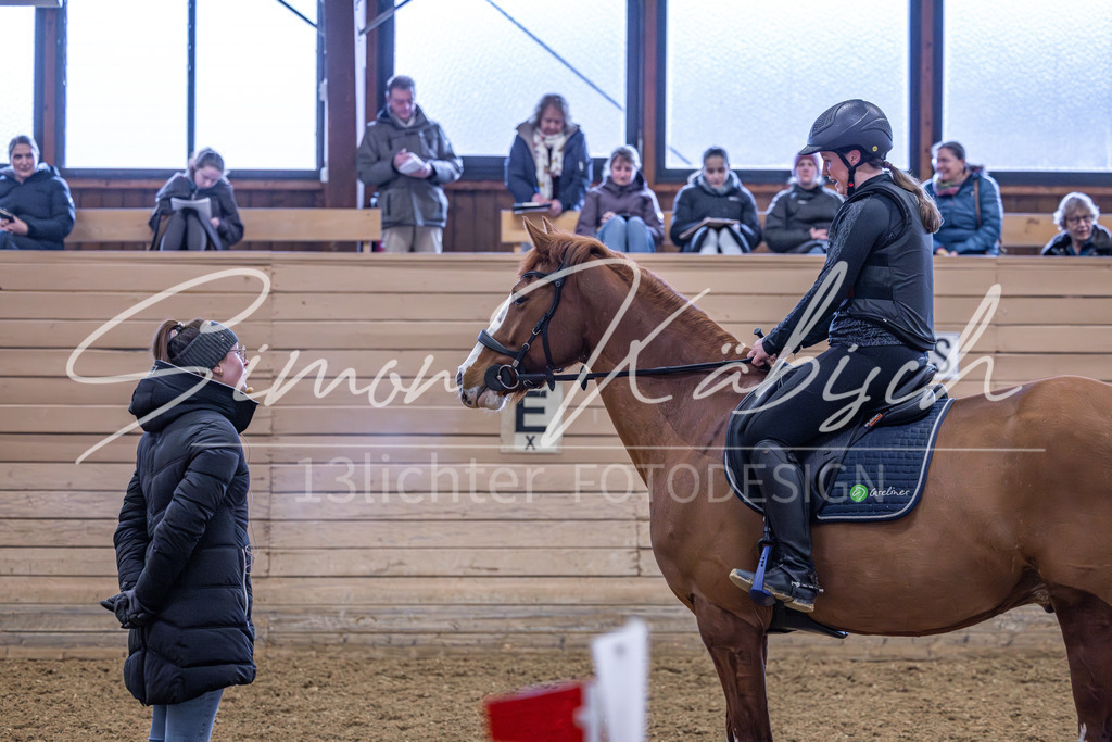 20260222-_3LI1449 | Tierfotografie Pferde, Hunde, Katzen, Haustiere.
Turnierfotografie Reitturniere, Reiten, Springreiten, Dressur in Hanau, dem Main-Kinzig-Kreis und dem Rhein-Main- Gebiet um Frankfurt