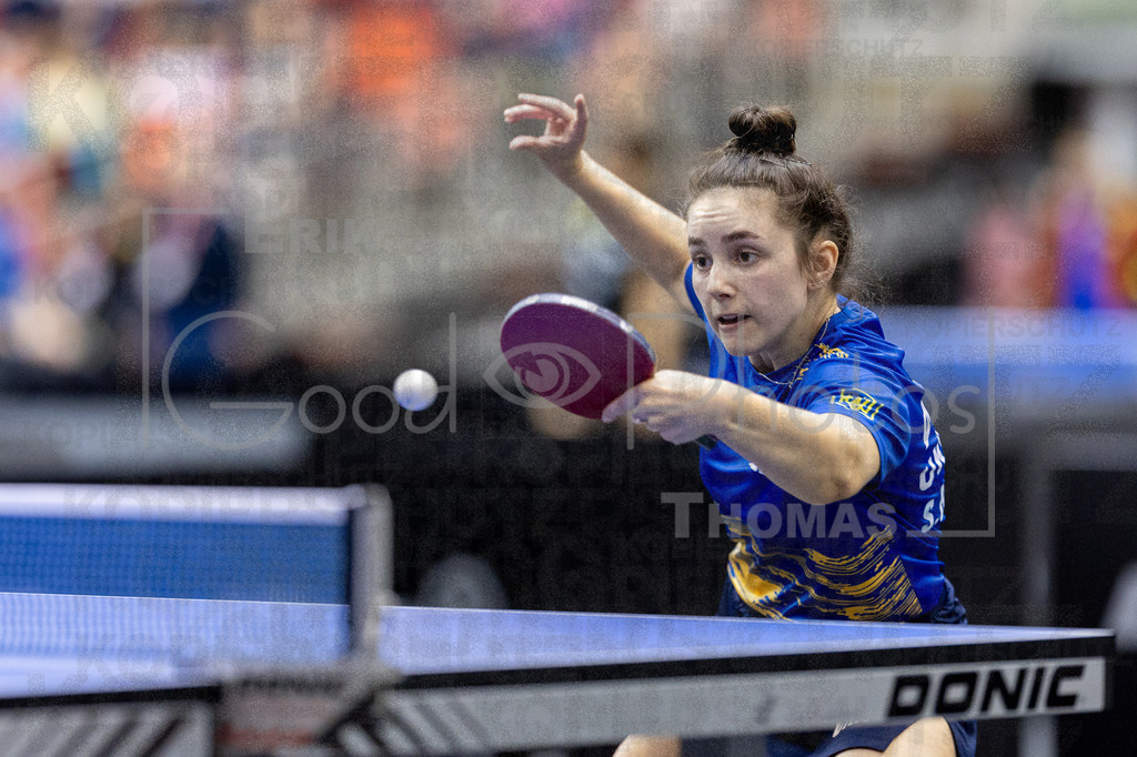 European_Championships_2024-10-17_121 | good-photos - Realisiert mit Pictrs.com