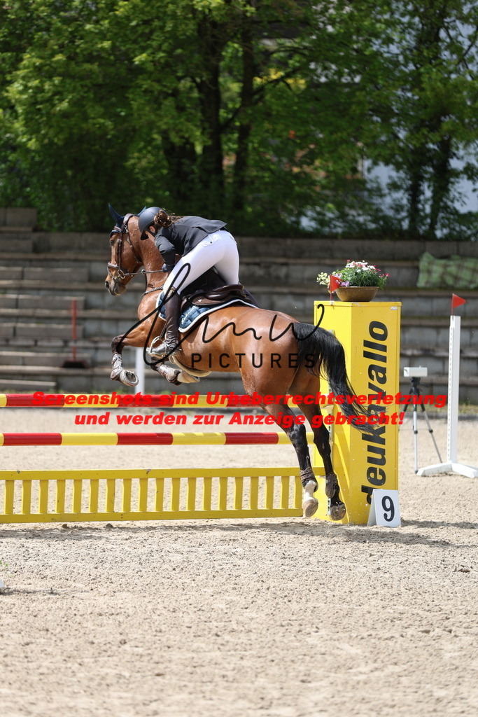 A40A1706 | lmwpictures - Realisiert mit Pictrs.com