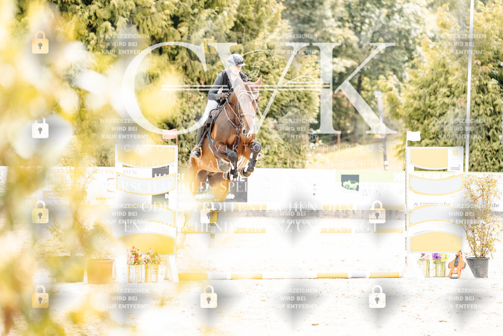 CK909755 | Turnierfotografie Pferdefotografie Trier Rheinland-Pfalz Pferdesport Reitsport Tierfotografie Sportfotografie Pferdevideo Pferdevideografie Equestrianvideography equestrianphotography  - Realisiert mit Pictrs.com