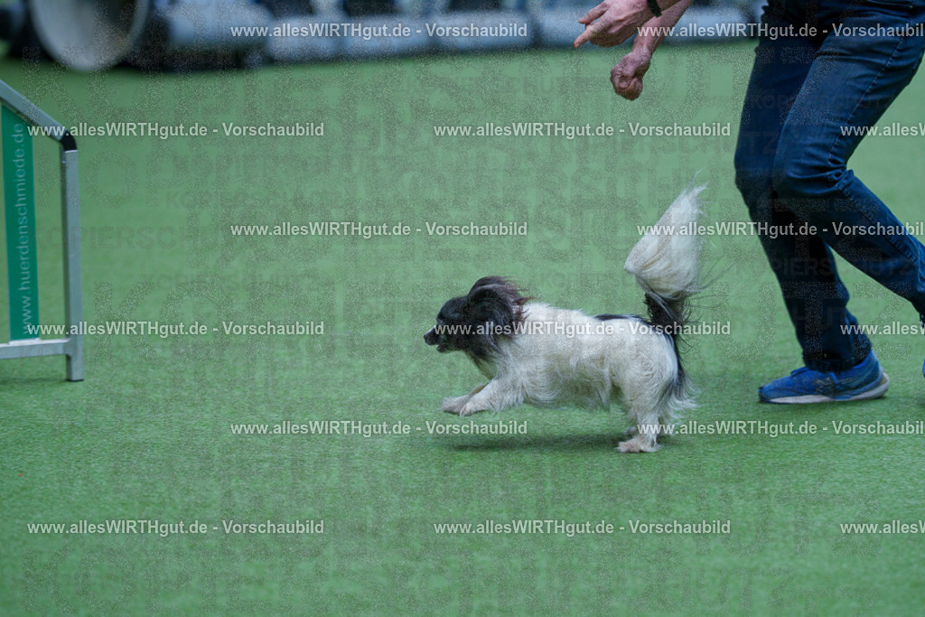 @allesWIRTHgut_Tierfotografie - www.allesWIRTHgut.de - 2604261326-7R501822 | Professionelle Tierfotografie in Mönchengladbach von Daniel Wirth (allesWIRTHgut). Liebevolle & natürliche Bilder von Hunden & Katzen für unvergessliche Erinnerungen.