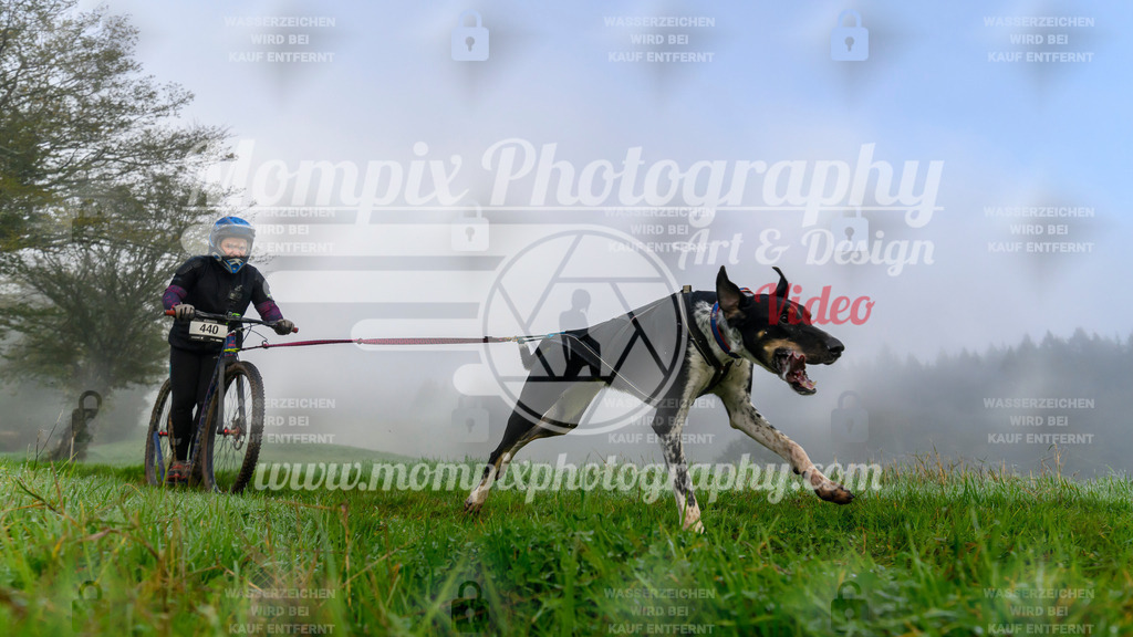 MompixPhotography_20TSB_E5_DS2-19 | PayLife