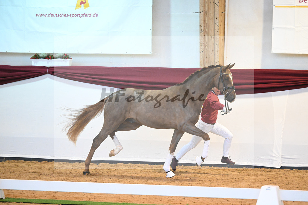 Kat-Nr. 4 v. Benicio_Galneder_66220009 | hf-fotografie - Realisiert mit Pictrs.com
