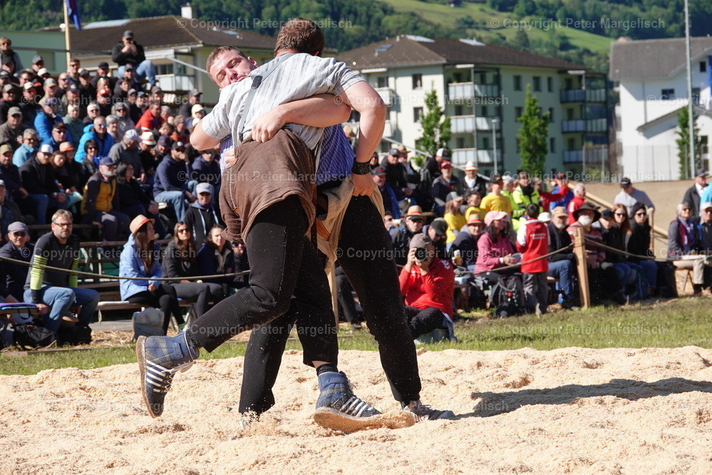 DSC02425 | Schwingen - Realisiert mit Pictrs.com