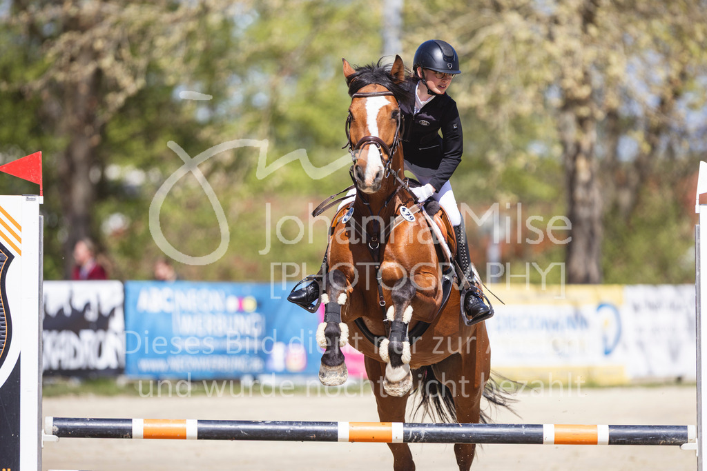 260425_Spenge_3_Stil-WB-300 | Deine schönsten Turniermomente als professionelle Fotos! Entdecke hochwertige Pferdesport-Fotografie im Online-Shop. Jetzt Fotos finden & bestellen!