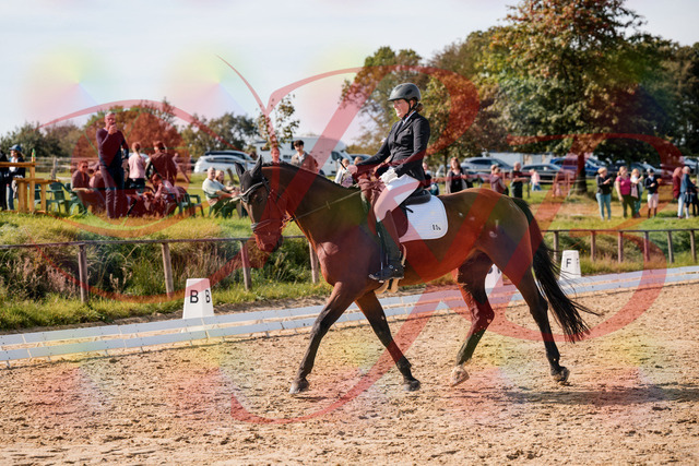 2026_10_03_Siefer-Hof_130300_Z63_64858685 | Professionelle Reitsport-, Turnier- und Eventfotografie von Robert Broda. Galerien mit ausgewählten und bearbeiteten Bildern direkt online ansehen und bestellen.