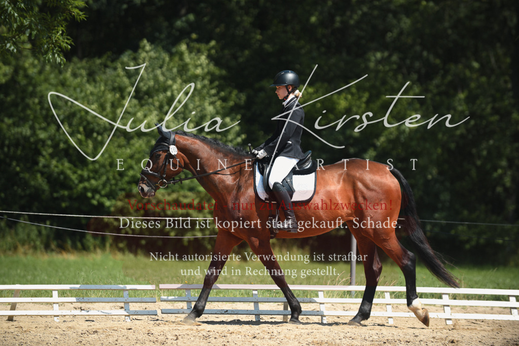 DSC_2231 | Pferde- und Turnierfotografie in Westsachsen. Pferdeportraits, Auftragszeichnungen und intuitive Kunst.