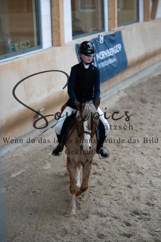 A7V09959 | Pferdefotograf