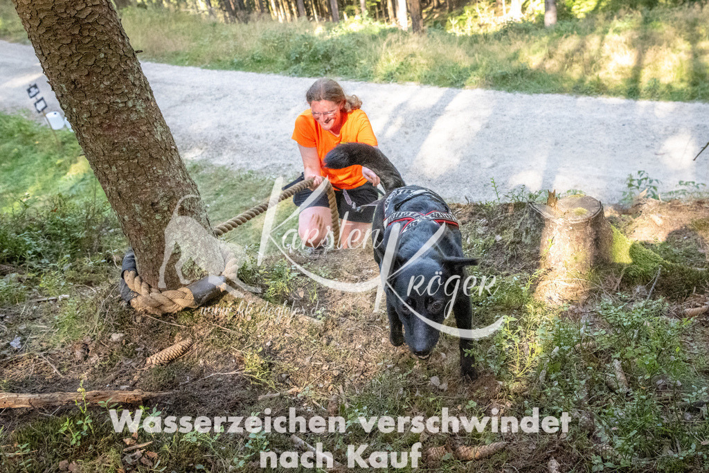 1058_ZZ93968 | kk-dogfotos