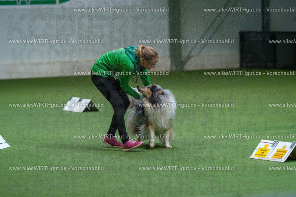 7R506237 | Professionelle Tierfotografie in Mönchengladbach von Daniel Wirth (allesWIRTHgut). Liebevolle & natürliche Bilder von Hunden & Katzen für unvergessliche Erinnerungen.