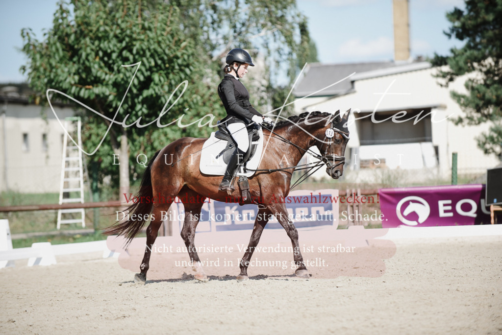 DSC_9939 | Pferde- und Turnierfotografie in Westsachsen. Pferdeportraits, Auftragszeichnungen und intuitive Kunst.