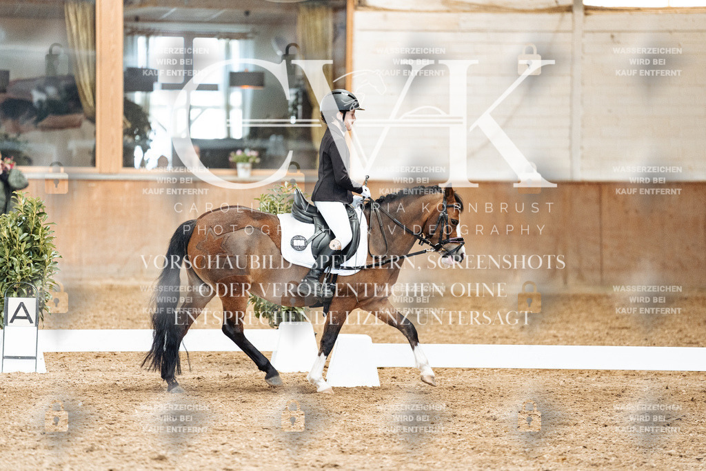 CK900445 | Turnierfotografie Pferdefotografie Trier Rheinland-Pfalz Pferdesport Reitsport Tierfotografie Sportfotografie Pferdevideo Pferdevideografie Equestrianvideography equestrianphotography  - Realized with Pictrs.com
