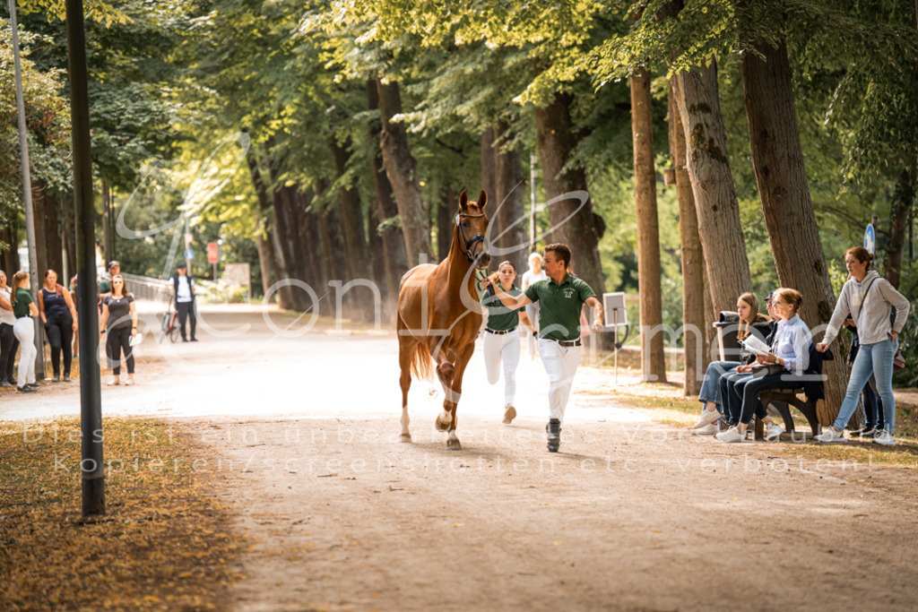 FrPfM00068 | Leoni Ertmer Photography - Realisiert mit Pictrs.com