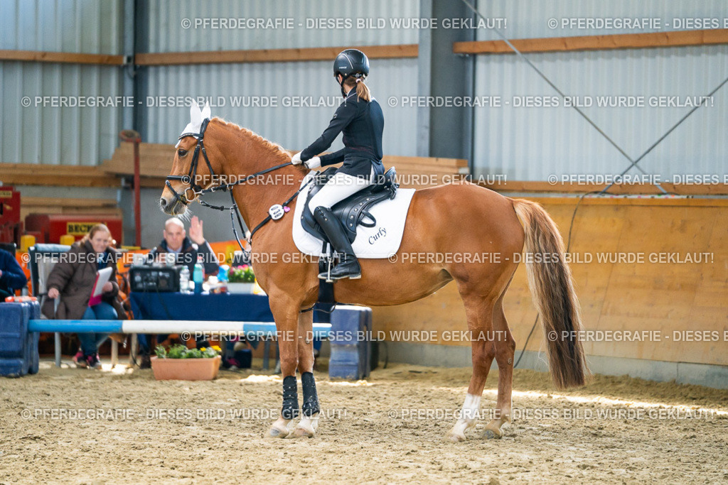 DSC01861 | Pferdegrafie