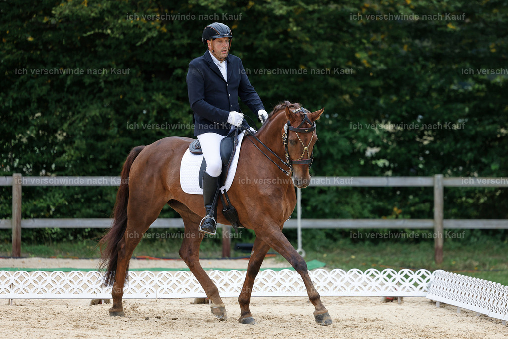3-239-Dressur M_-StoibPH-2404 | working equitationturnier fotograf videograf stoibphotography marixx film working equitation deutschland reitsport turnierfotografie eventfotografie equestrian events