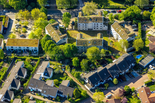 Herdecke240503075 | Luftbild, EnergieHäuser mit Dach-Grünbepflanzung, gelbe Fensterfronten, Westender Weg, Westende, Herdecke, Ruhrgebiet, Nordrhein-Westfalen, Deutschland