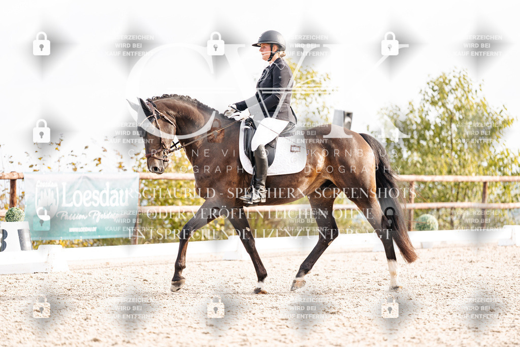CK901230 | Turnierfotografie Pferdefotografie Trier Rheinland-Pfalz Pferdesport Reitsport Tierfotografie Sportfotografie Pferdevideo Pferdevideografie Equestrianvideography equestrianphotography  - Realisiert mit Pictrs.com