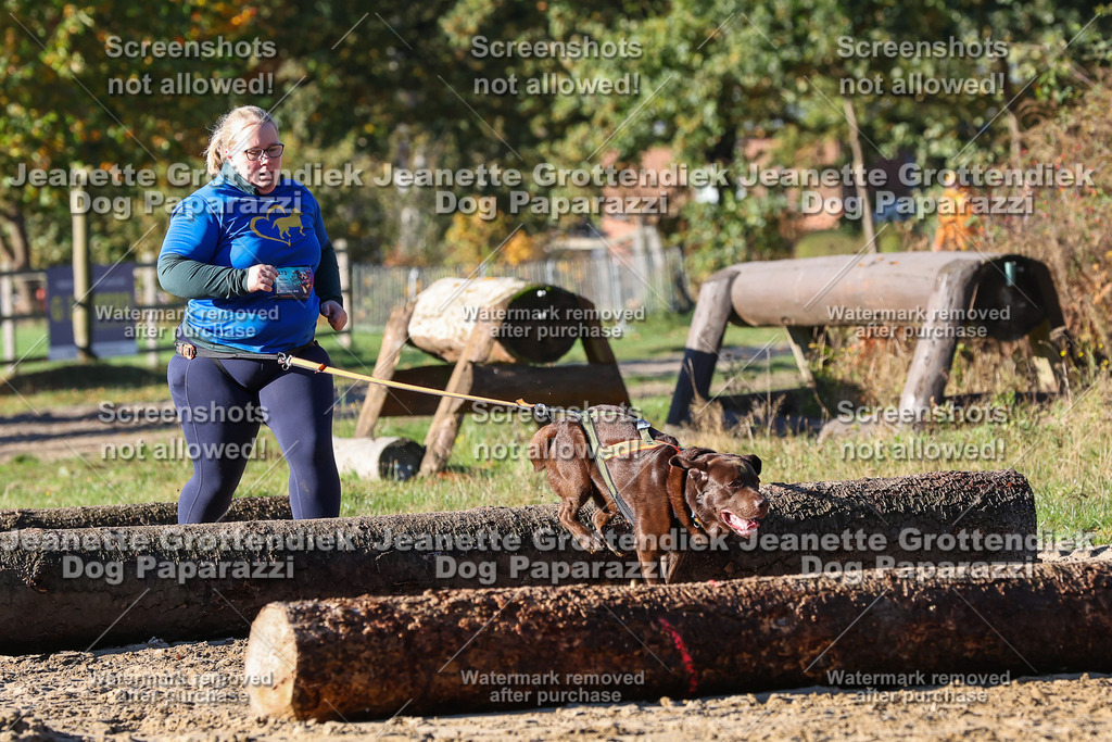 Dog Paparazzi - Strongdog 10-25-1659 | Dog Paparazzi Jeanette Grottendiek Fotografie & Videografie - Realisiert mit Pictrs.com