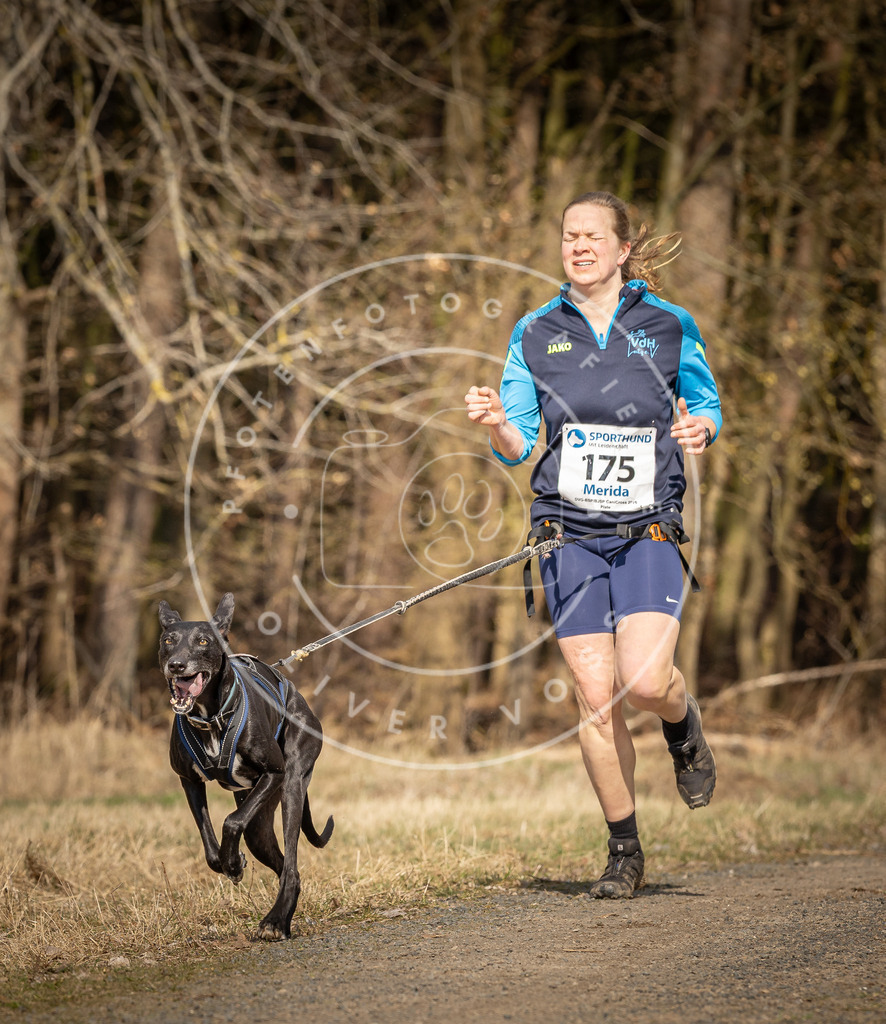 DV3A5636 | Hundefotografie, Tierfotograf, Pfotenfotografie, Fotoshooting Hund, Hunde Portrait, Hundesport, Hundeportraits, Heideshooting, Hunde, Sportfotograf, Hundefotograf, Turnierhundsport, THS,  - Realisiert mit Pictrs.com