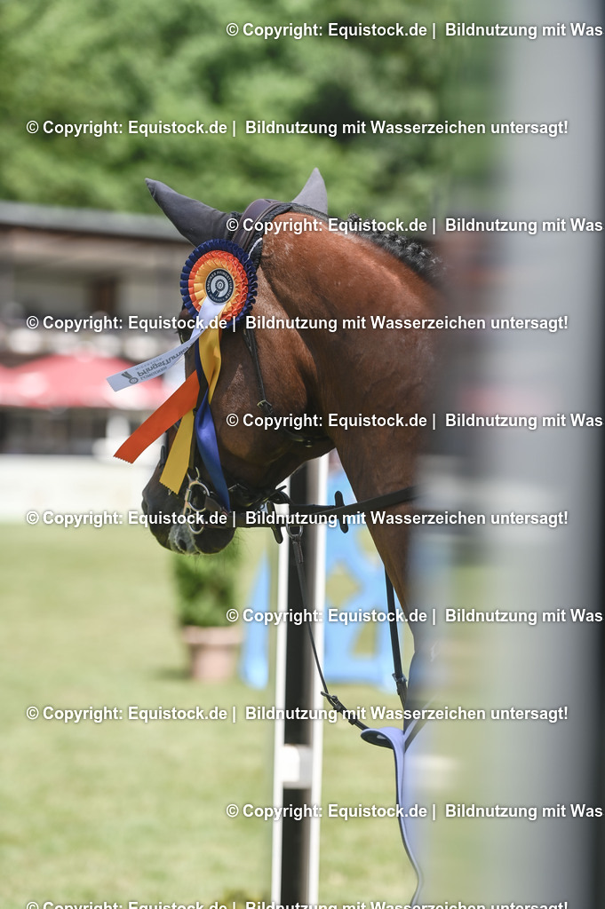 20230529_18_CSI4_Obermayr_0168 | equistock