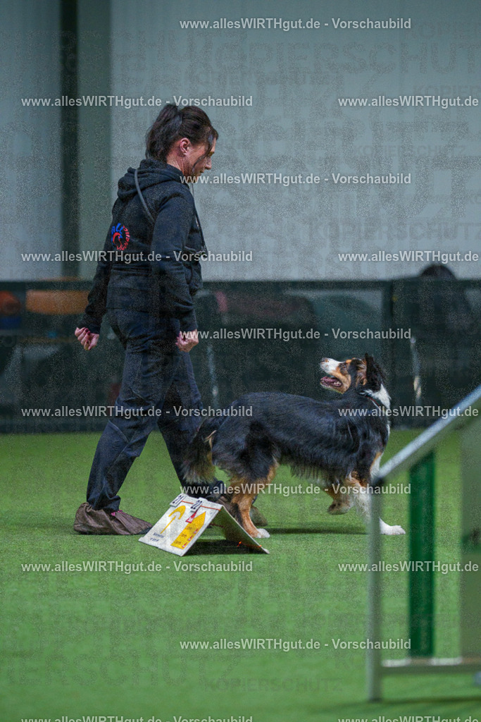 7R502045 | Professionelle Tierfotografie in Mönchengladbach von Daniel Wirth (allesWIRTHgut). Liebevolle & natürliche Bilder von Hunden & Katzen für unvergessliche Erinnerungen.
