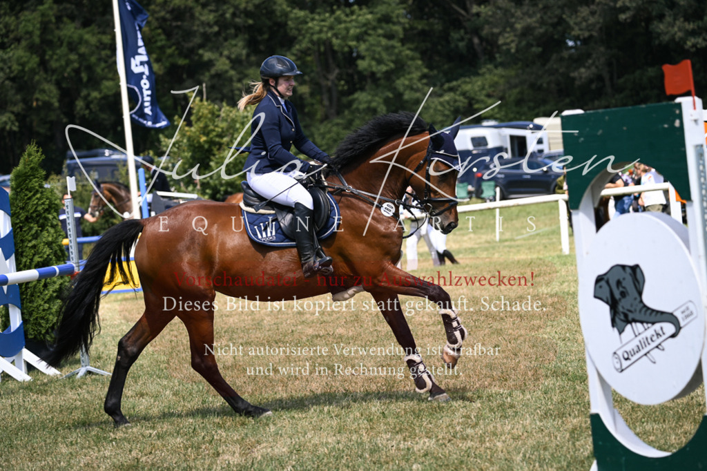 DSC_0238 | Pferde- und Turnierfotografie in Westsachsen. Pferdeportraits, Auftragszeichnungen und intuitive Kunst.
