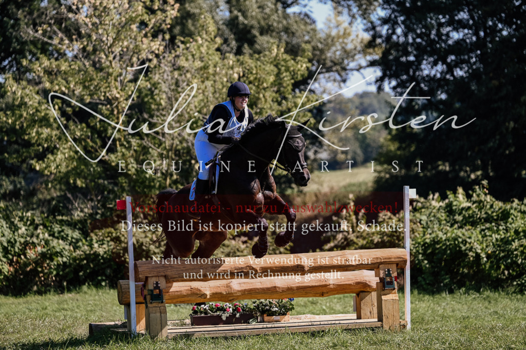 DSC_1634 | Pferde- und Turnierfotografie in Westsachsen. Pferdeportraits, Auftragszeichnungen und intuitive Kunst.