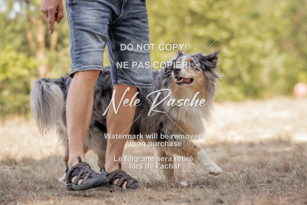 nelerasche_soDD2_83 | nelerasche