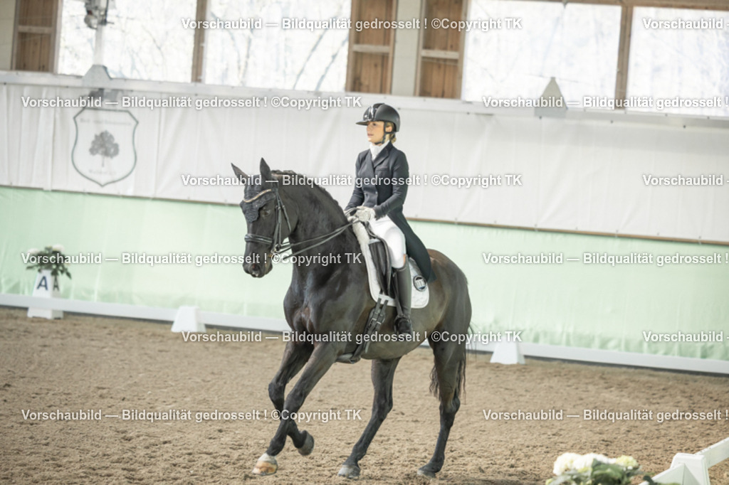 _D5A1699 | Emotionale Pferde- & People-Fotografie rund um Heidelberg, Leimen & Umgebung. Natürliche Fotos von Pferd, Mensch & Familie. Jetzt Termin sichern!