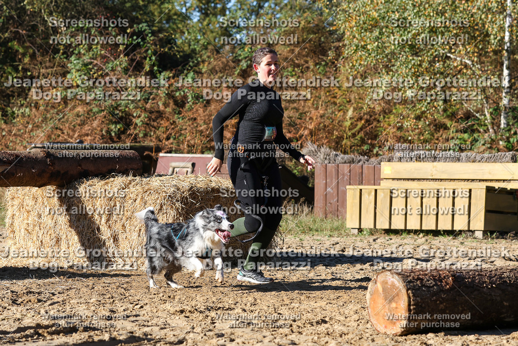 Dog Paparazzi - Strongdog 10-25-1981 | Dog Paparazzi Jeanette Grottendiek Fotografie & Videografie - Realisiert mit Pictrs.com