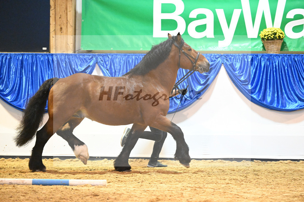 Kat-Nr. 39 Albrecht von Brueck_Bruecker Agrar u Landschafts GbR_53221225 | hf-fotografie - Realizzato con Pictrs.com