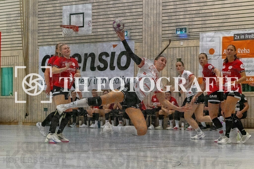 DEU, HSG Freiburg - TG Nuertingen, Handball, 2. Handball-Bundesliga, Saison 2023/2024, 04. Spieltag, Saison 2023/2024, 07.10.2023 | Leonie Dreizler (TG Nuertingen, #23)

DEU, HSG Freiburg - TG Nuertingen, Handball, 2. Handball-Bundesliga, Saison 2023/2024, 04. Spieltag, Saison 2023/2024, 07.10.2023

Foto: Eibner-Pressefoto/Thomas Hess