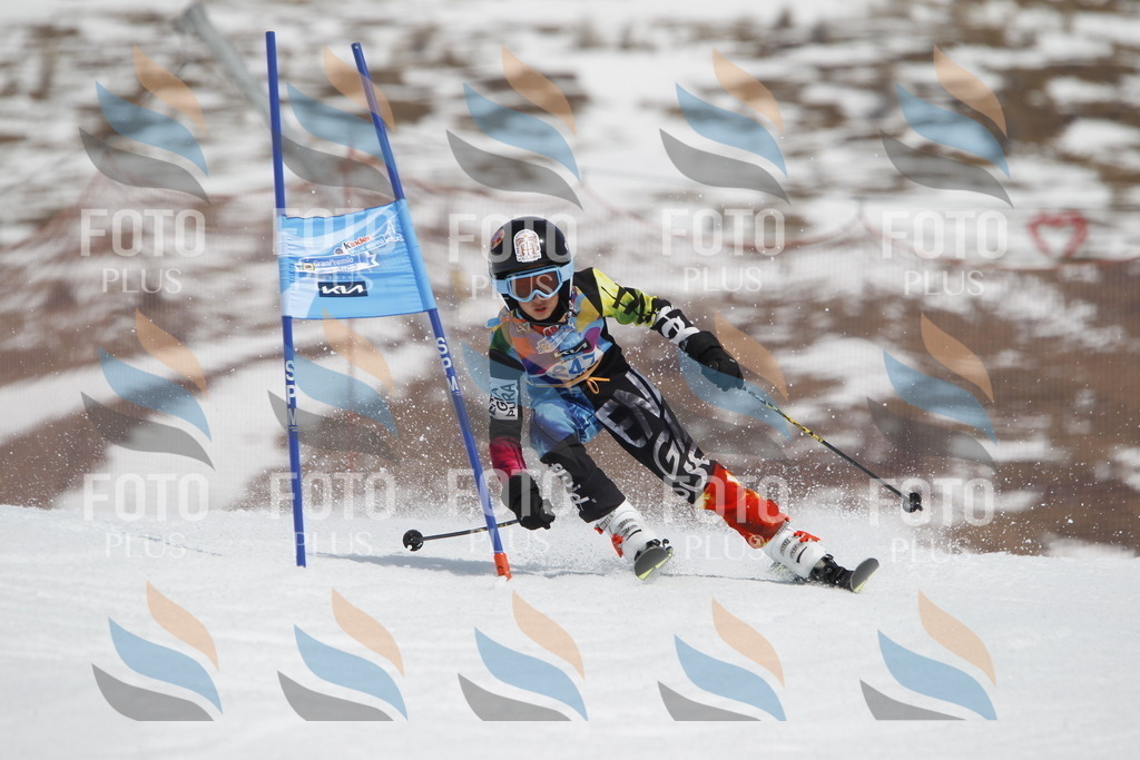 _U3G2823 | holidayphoto