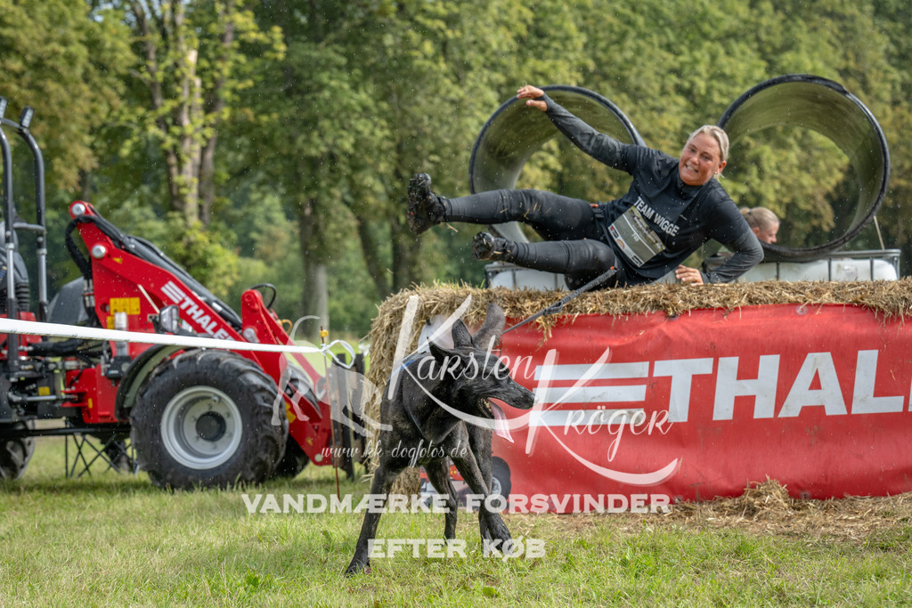 1115_ZZ93719 | kk-dogfotos