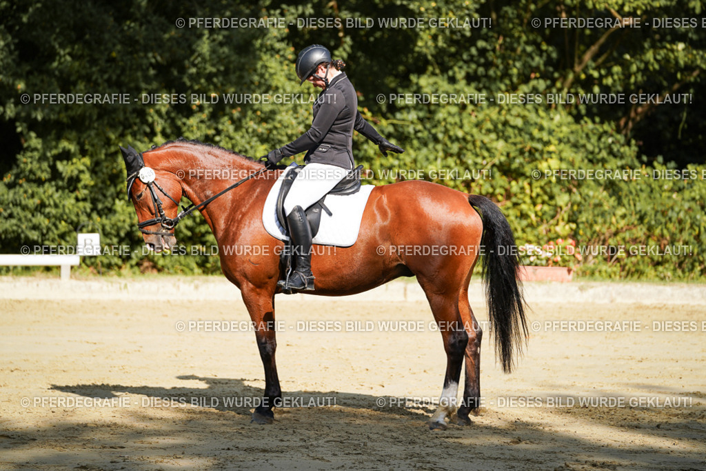 DSC08423 | Pferdegrafie