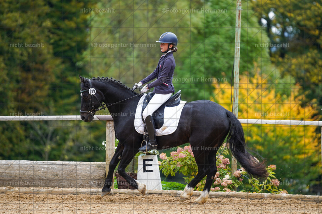20221008-FAH01546 | Diessen am Ammersee, 2022, Dressur- und Springturnier, Reitsportbilder, Turnierfotografen Bayern, Pferdefotografen, Fotoagentur Herrmann, Turnierbilder