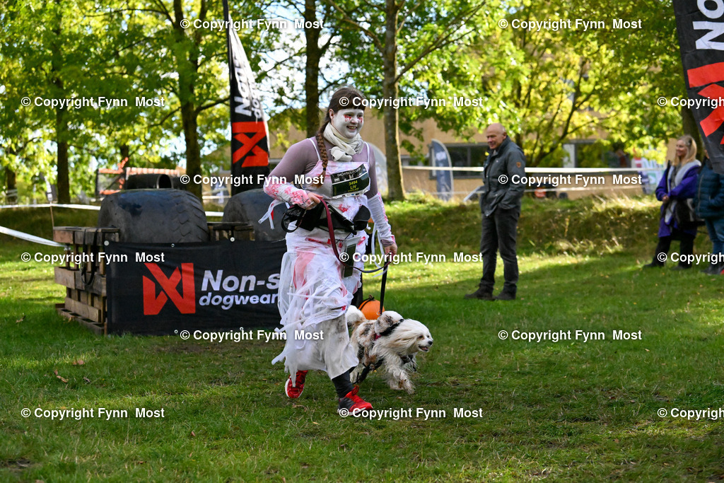 DSC_6957 | Hallo und herzlich Willkommen auf meiner Shop-Seite Fynn Most.

Ich wünsche Dir viel Spaß beim stöbern durch die Bilder, wenn Du Fragen hast oder Bilder vermisst, kannst du mir gerne eine Nachricht schreiben. - Realisiert mit Pictrs.com