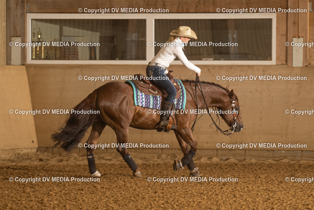 LAU00159 | dv-media-shop - Realisiert mit Pictrs.com