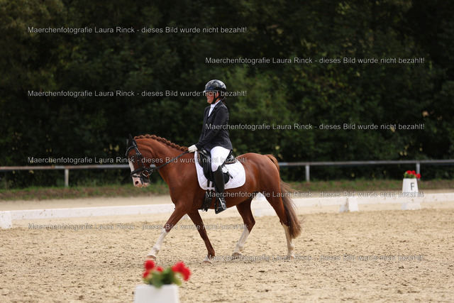 HG9A1746 | laurarinckfotografie - Realisiert mit Pictrs.com
