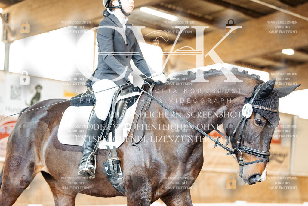 CK909853 | Turnierfotografie Pferdefotografie Trier Rheinland-Pfalz Pferdesport Reitsport Tierfotografie Sportfotografie Pferdevideo Pferdevideografie Equestrianvideography equestrianphotography  - Realisiert mit Pictrs.com