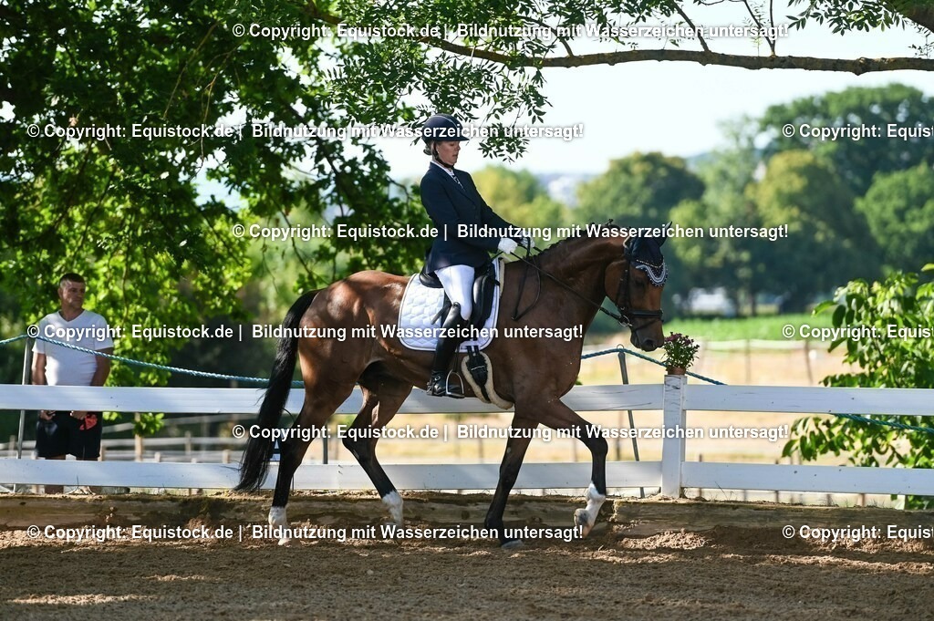 20230715_06_Dressurpferdeprfg. Kl.A_0199 | equistock