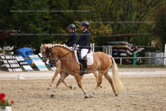 HG9A1457 | laurarinckfotografie - Realisiert mit Pictrs.com