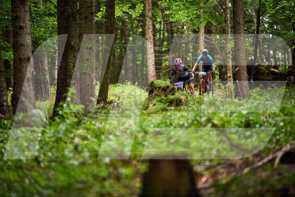 Betriebszentrum Laubenbachmühle, Frankenfels, Österreich - 13. September 2025: Dirndltal Race - Fun und Trophy RaceFotograf: Martin Bihounek / martinbihounek.com | 13. September 2025 Betriebszentrum Laubenbachmühle, Frankenfels, Österreich : Dirndltal Race - Fun und Trophy Race •••••Photo by: Martin Bihounek / martinbihounek.comInsta: @martinbihounekcom